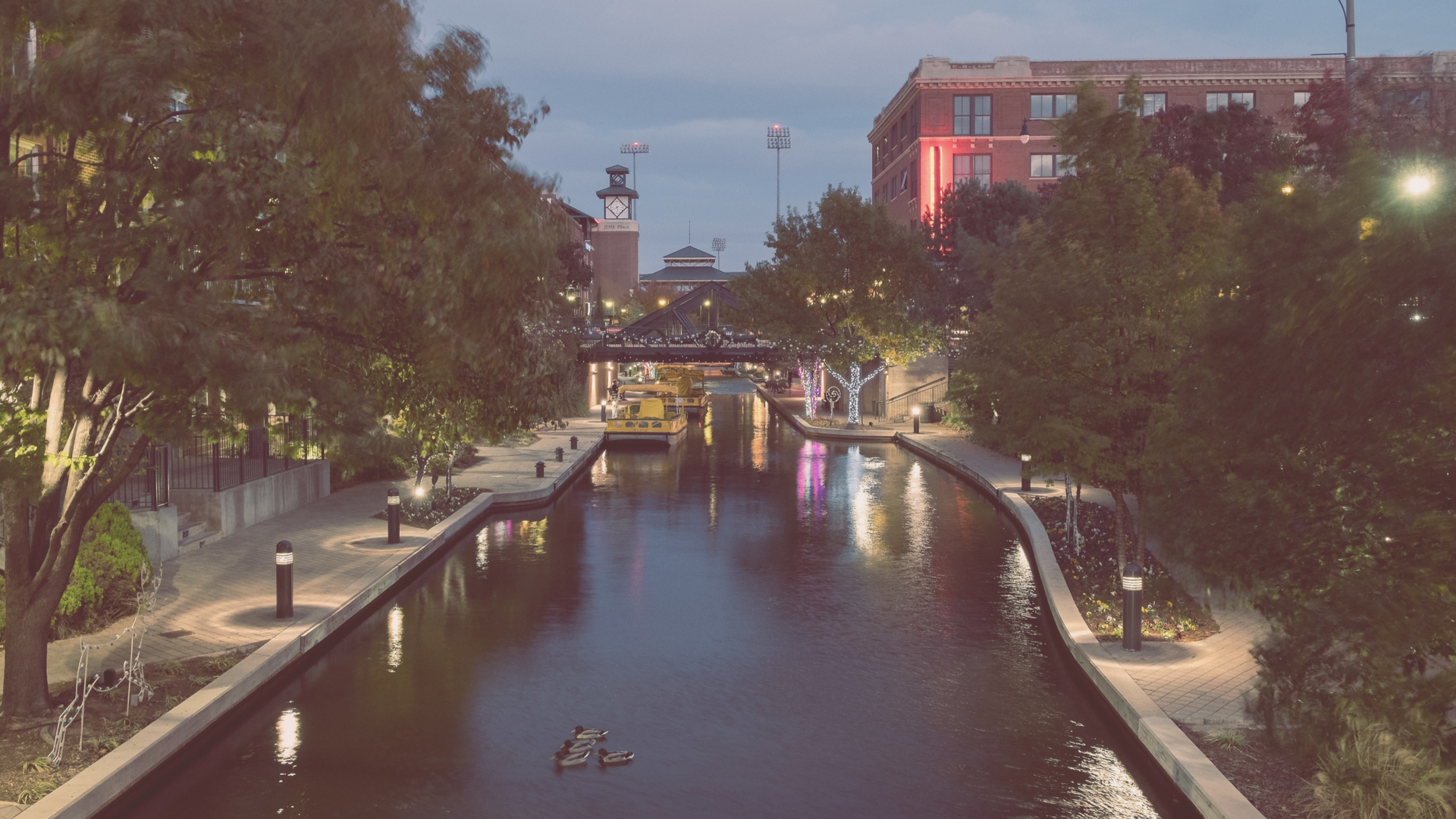 Seeking OKC Grassroots Action Team members! - You're the Cure